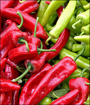 cop-side-new-mexico-2